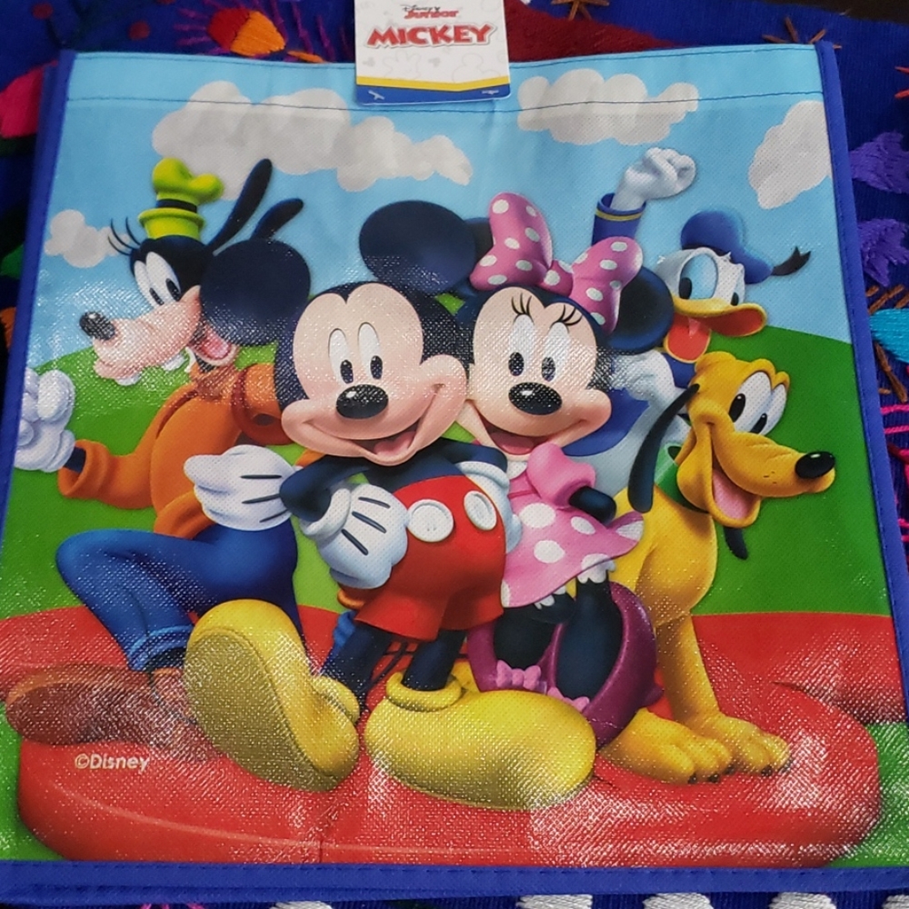 Disney Reusable Gift Bag